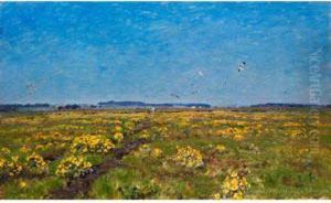 Weite Moorlandschaft Mit Gelbendotterblumen Und Auffliegenden Vogeln by Viggo Christian Frederick Pedersen