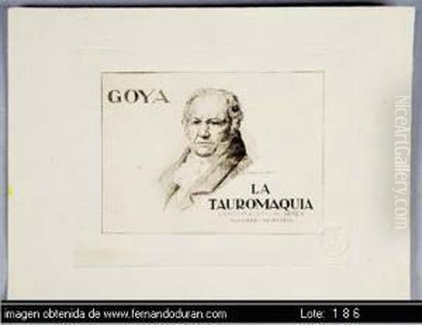 Tauromaquia - view 1