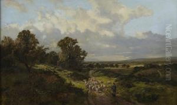 Homeward Bound - view 1