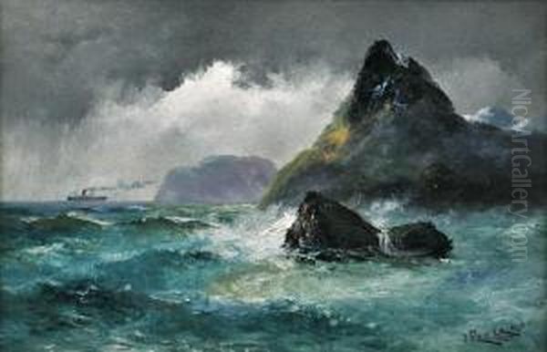 Steamship In Stormy Waters - view 1