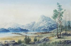 Fiordland by Tom Peerless