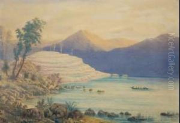 The White Terraces - view 1