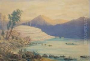 The White Terraces