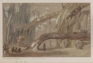 Bur Tree At Kooa, Ahmedabad by James Braithwaite Peile