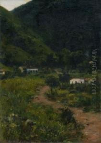 Paisaje - view 1