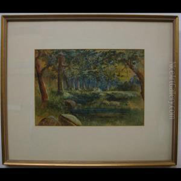 Woodland Pool - view 1