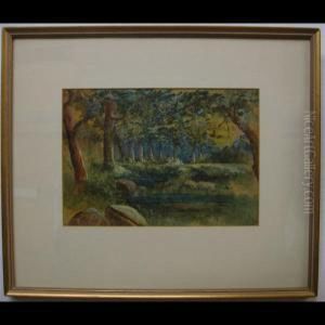 Woodland Pool by A.J. Pell