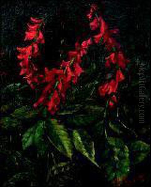 Campanule In fiore - view 1