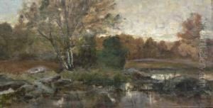 Mare En
Sous-bois Mare En
Sous-bois