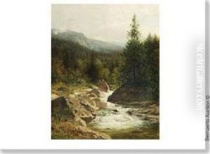 Paysage Aquatique Montagneux.