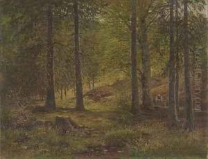 Kleine Sammlerin Im Sommerwald