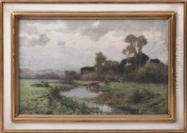 Stream Scene - view 1