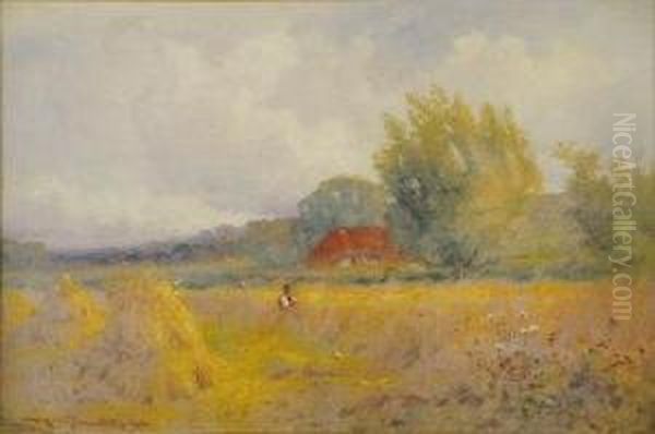 The Edge Of The Cornfield - view 1