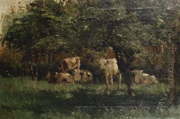 Cattle In Dappled Sunlight - view 1