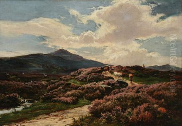 On The Perthshire Moors - view 1