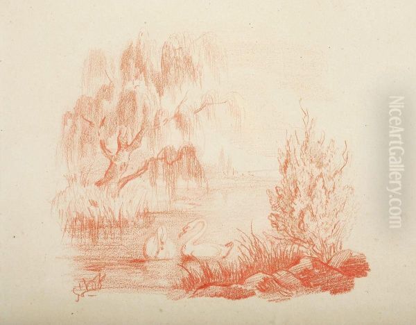 Paisagem - Lago E Cisnes - view 1