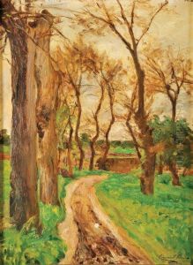 Olivaes - Caminho E Arvoredo by Ezequiel Pereira