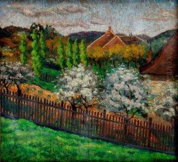 Dedinska Zahrada - view 1