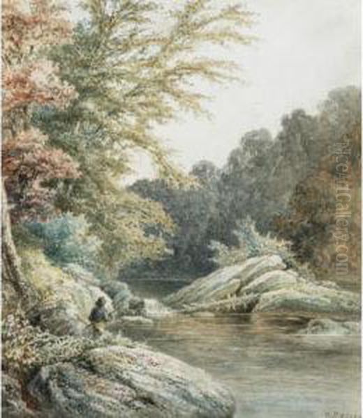 Morning Fishing - view 1