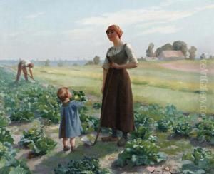 The Lettuce Patch by Aime Perret