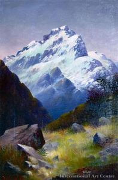 Near The Base Of Mt Sefton - view 1