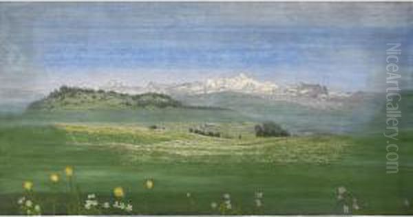 View Of Mont-blanc - view 1