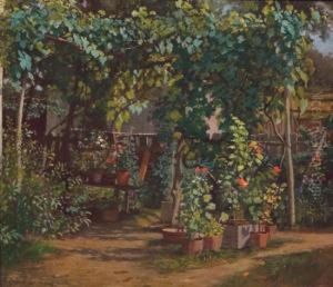 Backyard Flower Garden