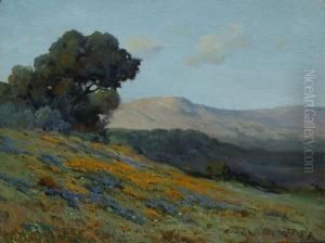California Poppies And Lupine On A Hillside by John Calvin Perry