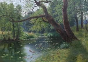 Skogstjarn by Peter Adolf Persson