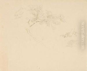 Vier Landschafts- Und Figurenstudien. Mitte 19. Jh by Carl Gottlieb Peschel