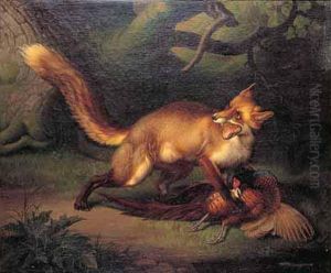 Renard Attrapant Un Faisan