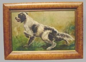 Setter In Landscape by Wenceslaus Peter