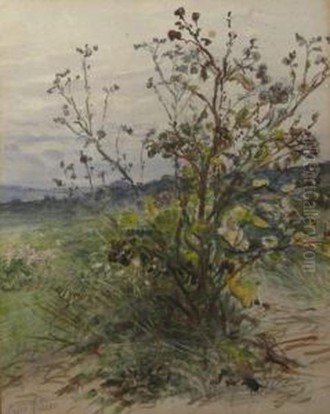 1 Bl. Landschaft - view 1