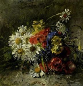 Blumenstillleben Mit Margeriten Und Mohn