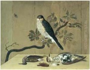 Le Faucon Et Sa Chasse by Nicolai Peters