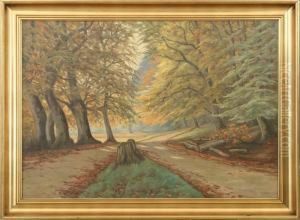 Forest With Path by Carl Petersen