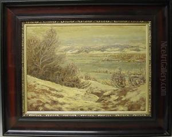 Winterlandschaft - view 1