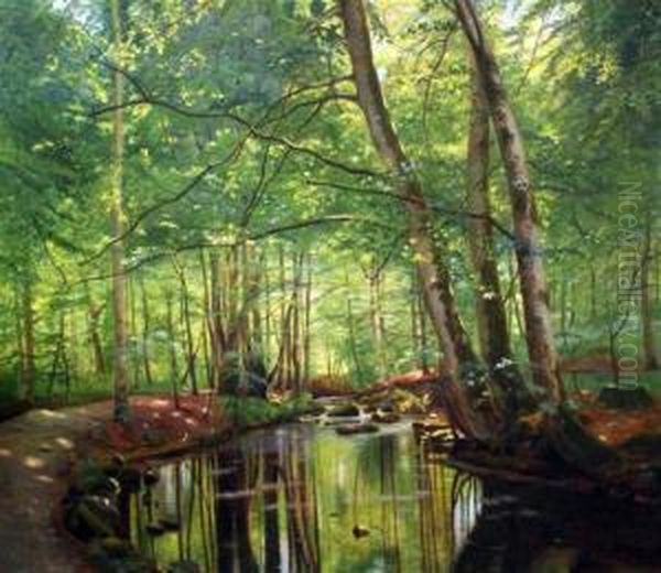 Woodland Stream - view 1