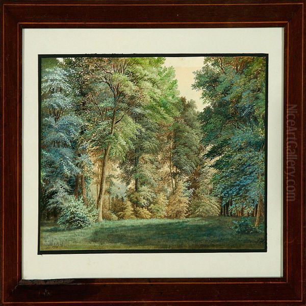 A Forest Glade At Spring Time - view 1