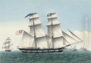 The Snow
Fleece by Jacob Peterson
