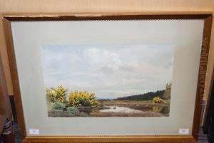 In Time Of Gorse, The Moors, Brockenhurst, New Forest In Time Of Gorse, The Moors, Brockenhurst, New Forest