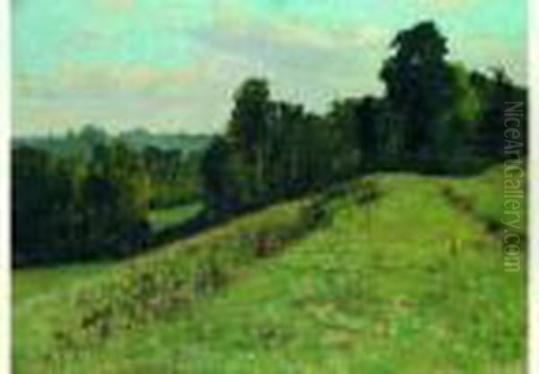 Paysage - view 1