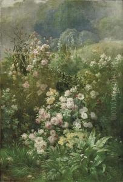 Wild Roses - view 1