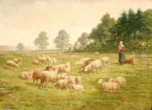 A Farmer's Wife With Sheep