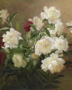 Peonies Peonies