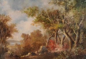 Boscaglia Sullo Sfondo Di Un Lago by Filiberto Petiti