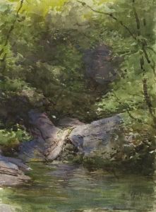 Vegetazione Con Ruscello by Filiberto Petiti