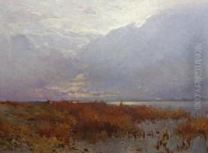 Il Padule In Maremma by Filiberto Petiti