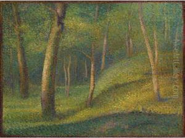 Sous-bois - view 1