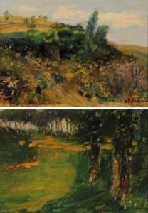 Pineta A Castelfusano by Luigi Petrassi